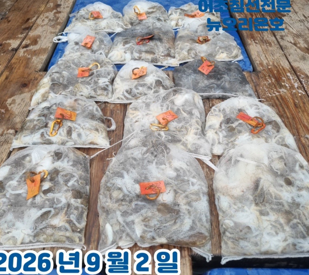 9월 2일 군산 주꾸미 선상낚시 조황 현장 사진 1