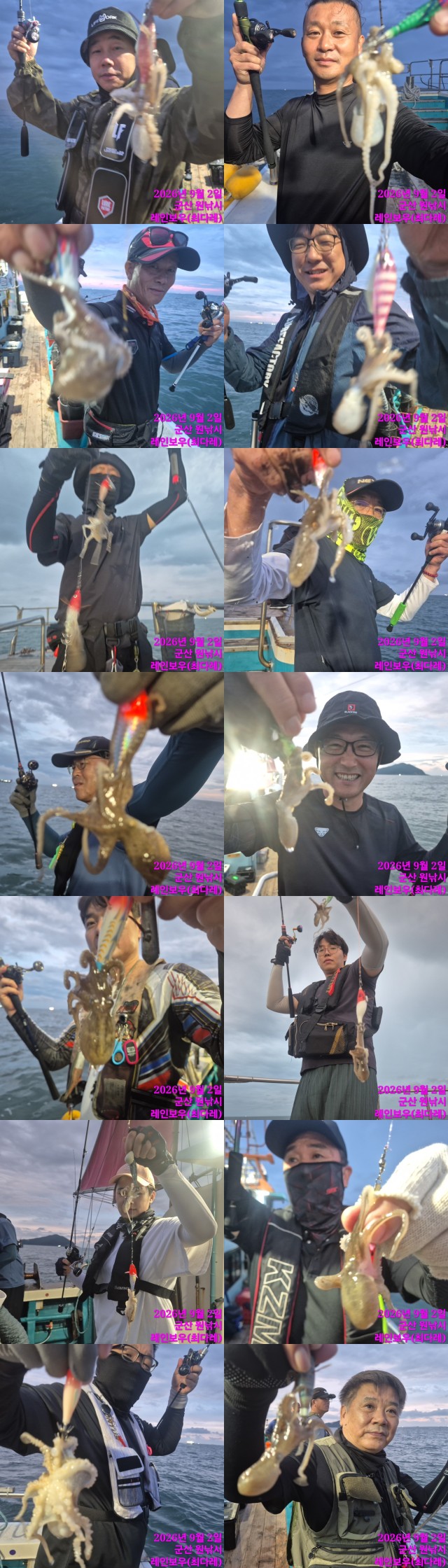 9월 2일 군산 주꾸미 선상낚시 조황 현장 사진 5