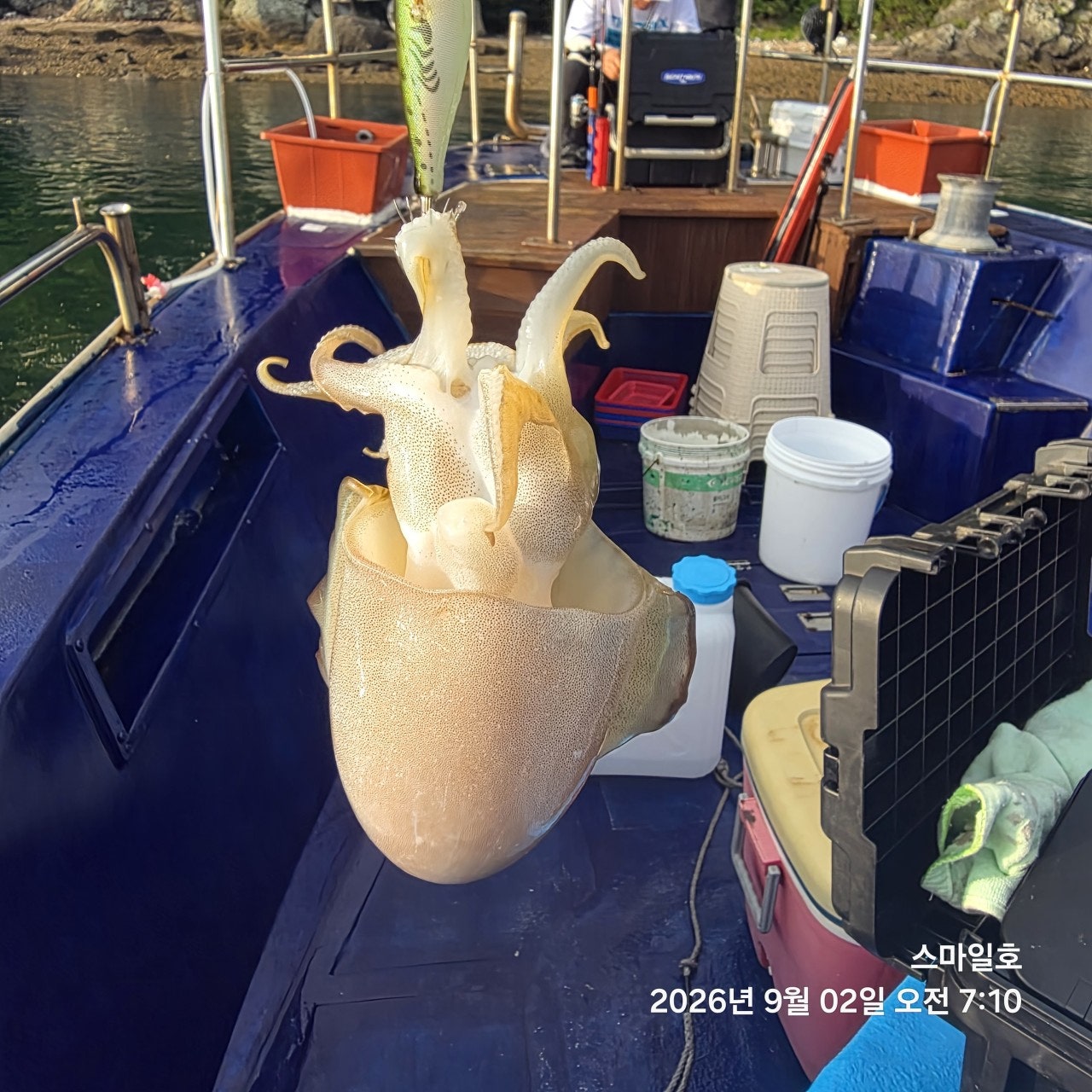 ����ڰ� �ø� �̹���