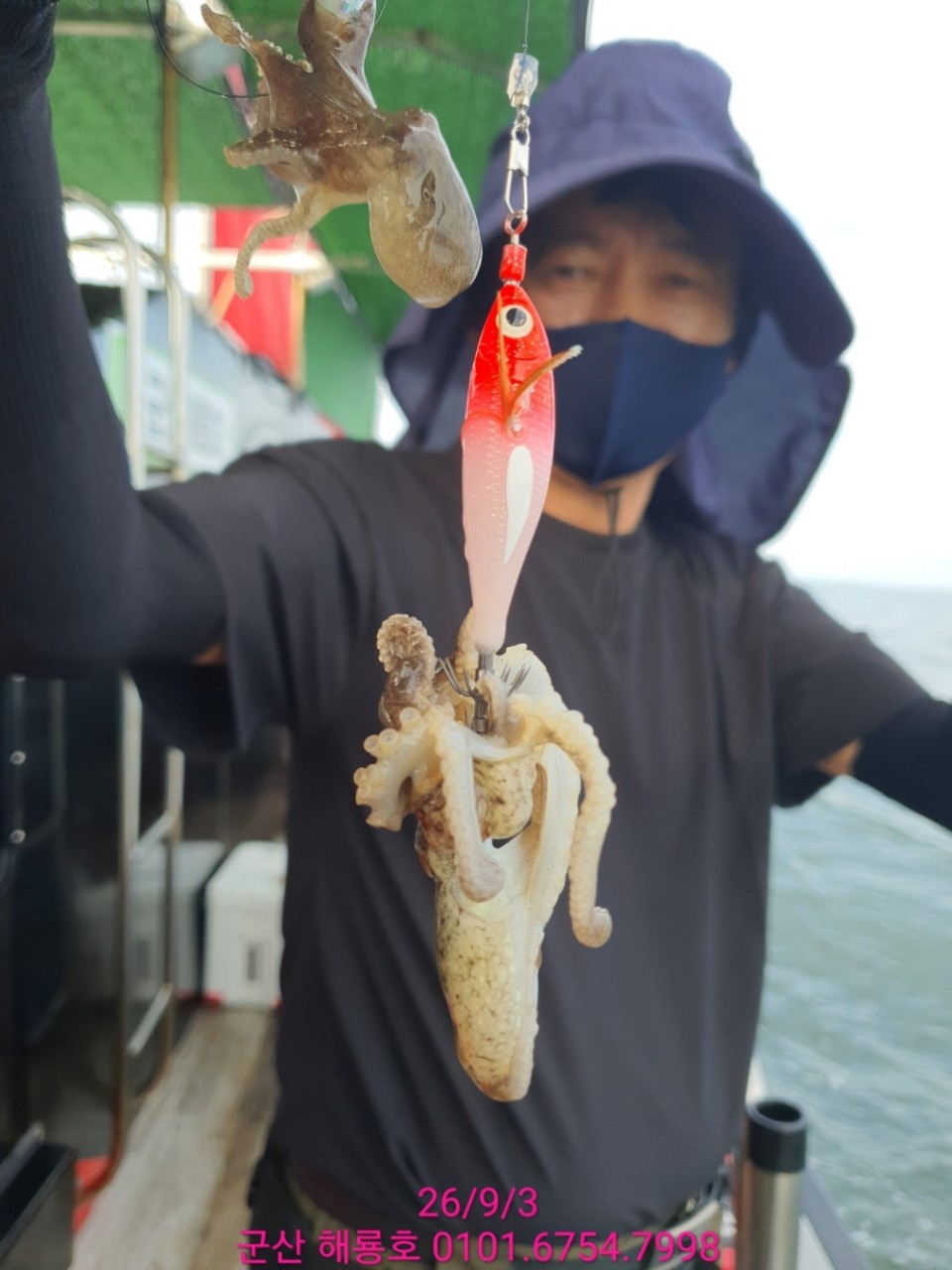 9월 3일 군산 주꾸미 선상낚시 조황 현장 사진 9