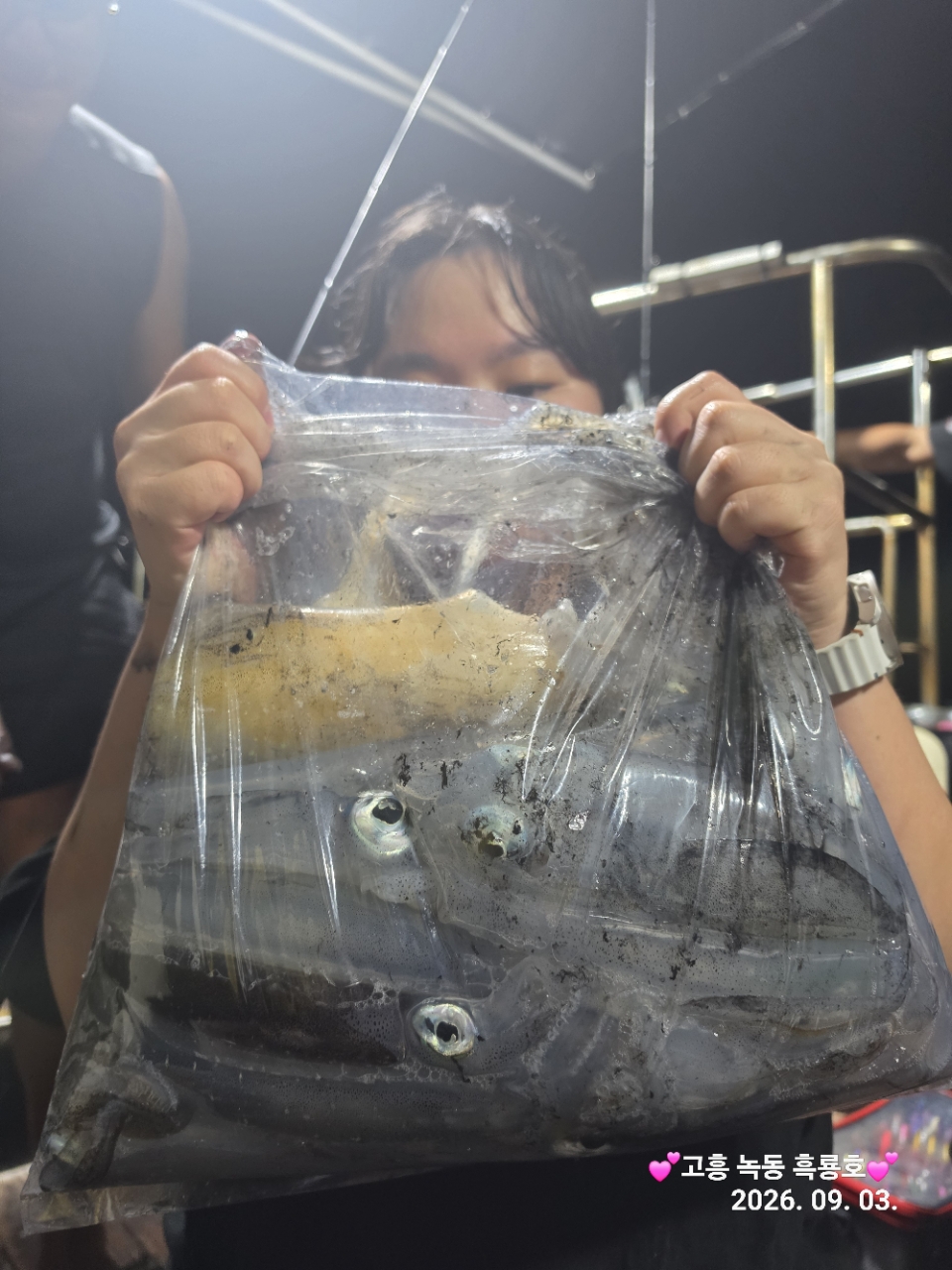 9월 3일 무늬오징어 선상낚시 조황 현장 사진 7