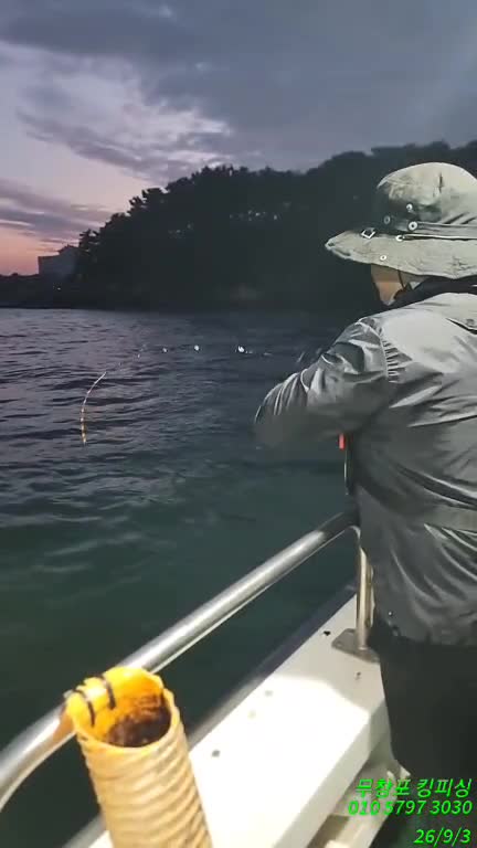 9월 3일 갑오징어 선상낚시 조황 현장 사진 1