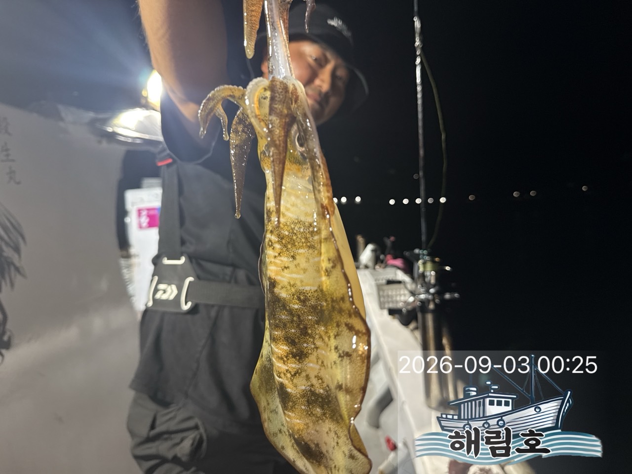 9월 2일 여수 무늬오징어 선상낚시 조황 현장 사진 6