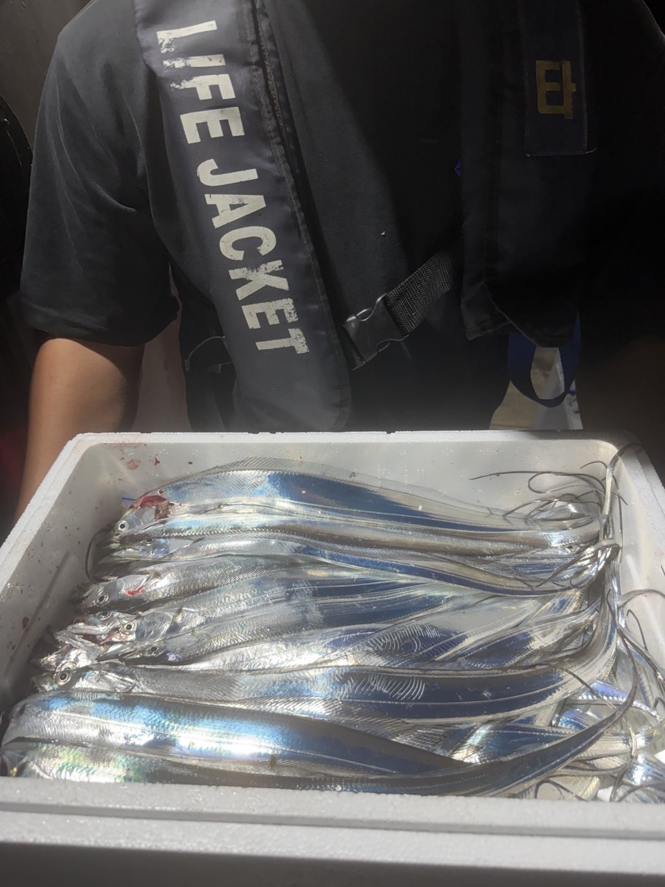 9월 2일 갈치 선상낚시 조황 현장 사진 5