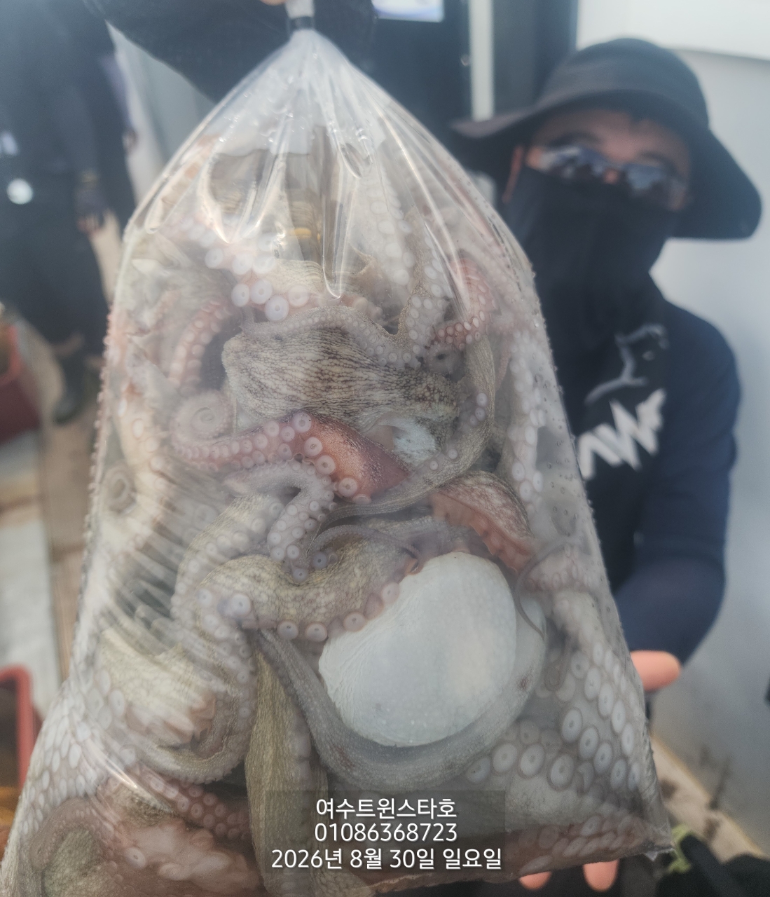 9월 4일 여수 문어 선상낚시 조황 현장 사진 2