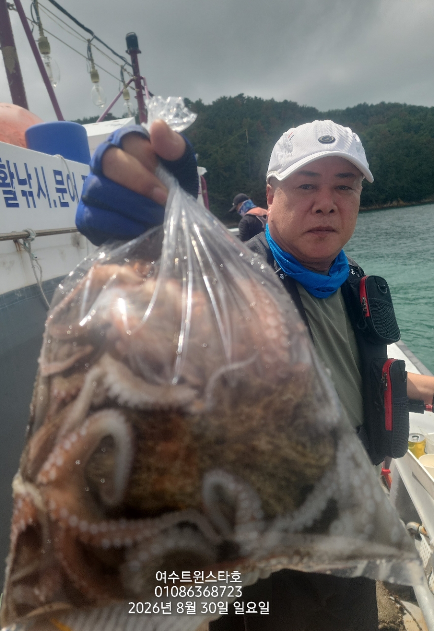 9월 4일 여수 문어 선상낚시 조황 현장 사진 16