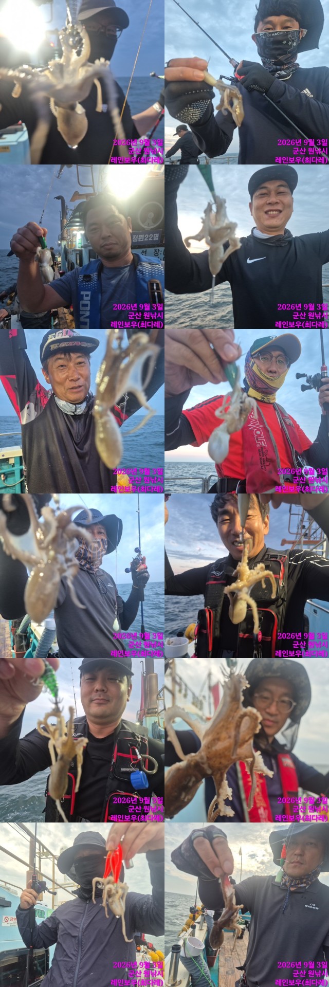 9월 3일 군산 주꾸미 선상낚시 조황 현장 사진 1