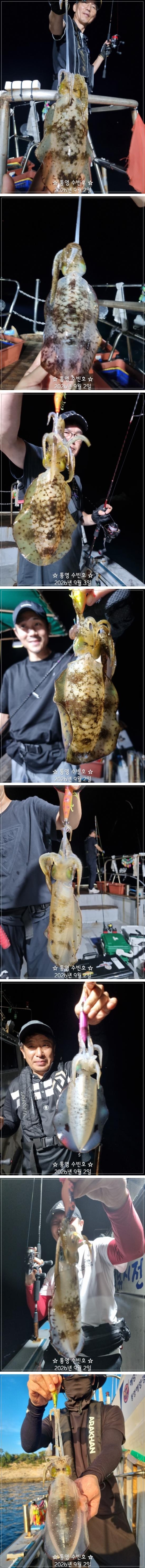 9월 3일 무늬오징어 선상낚시 조황 현장 사진 4