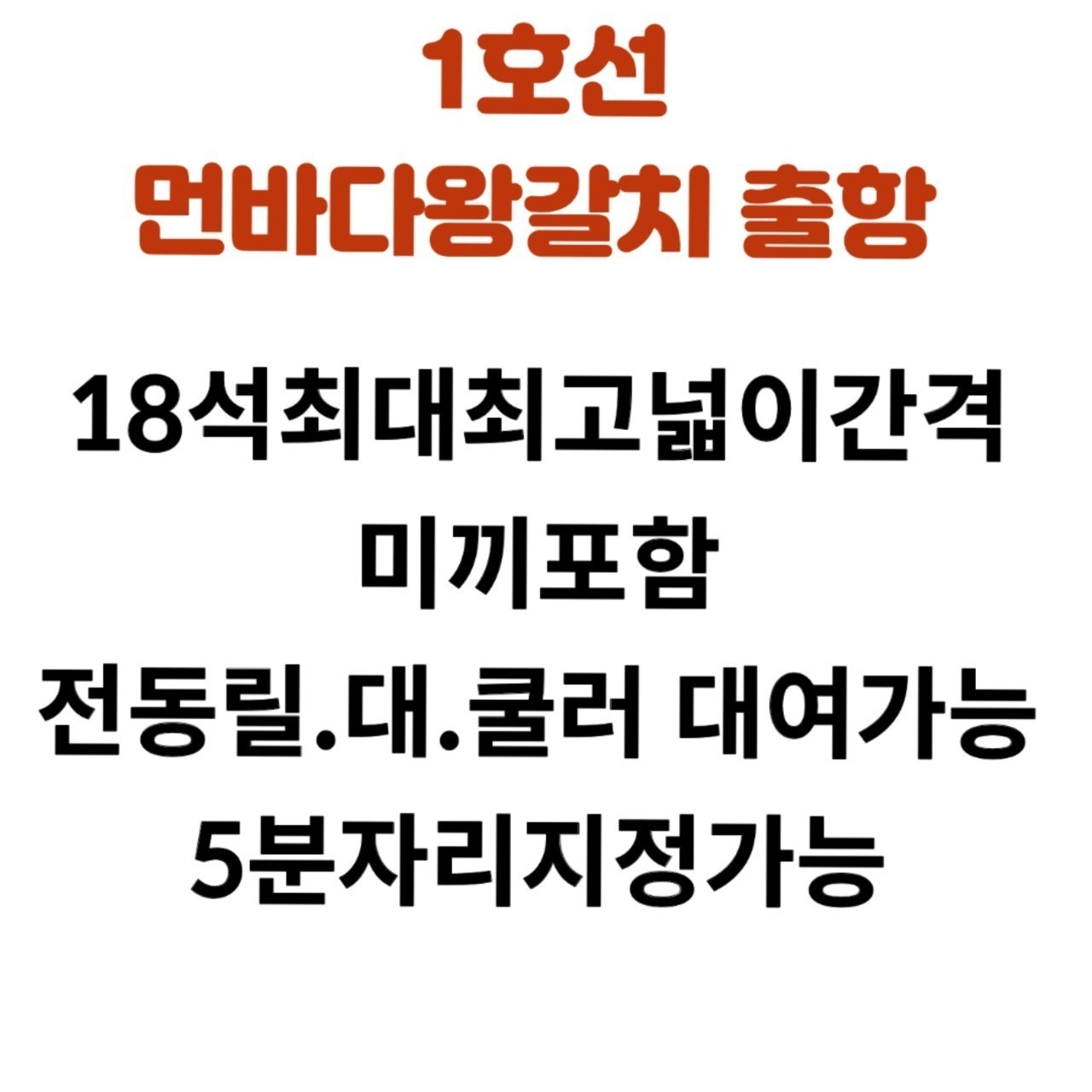 9월 3일 갈치 선상낚시 조황 현장 사진 31