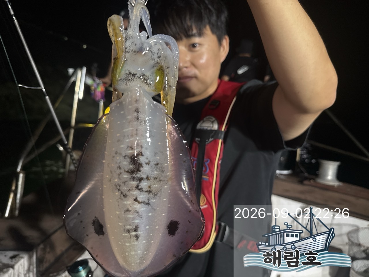 9월 2일 여수 무늬오징어 선상낚시 조황 현장 사진 1