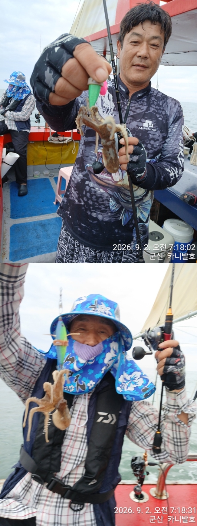 9월 8일 군산 주꾸미 선상낚시 조황 현장 사진 7