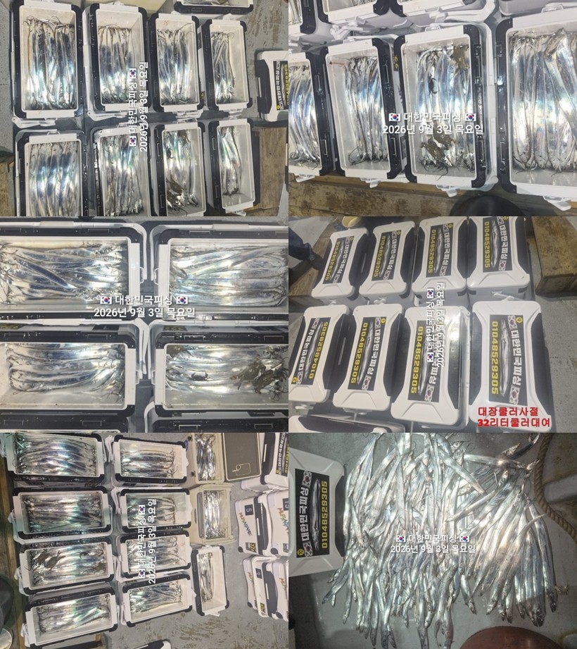 9월 3일 진해 갈치 선상낚시 조황 현장 사진 1