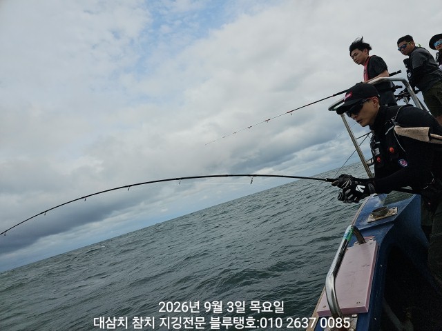 9월 3일 경주 선상낚시 조황 현장 사진 10