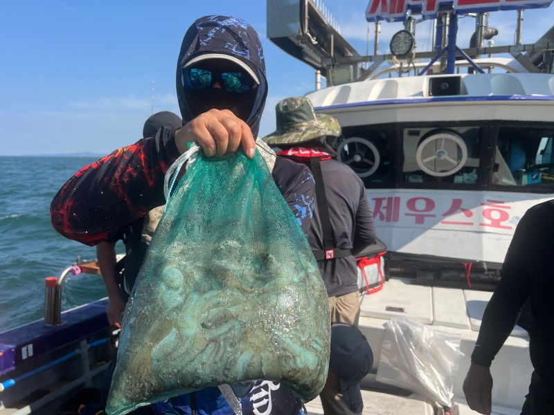 9월 3일 인천 갑오징어 선상낚시 조황 현장 사진 26