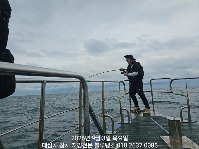 9월 3일 경주 선상낚시 조황 현장 사진 2