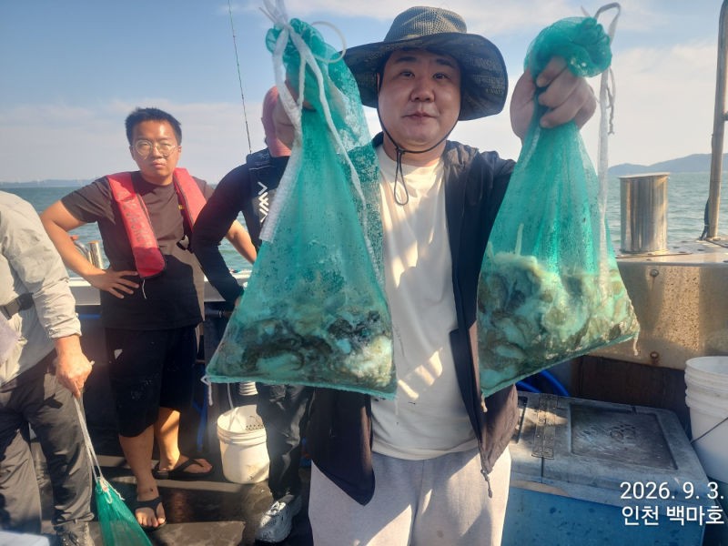 9월 3일 인천 갑오징어 선상낚시 조황 현장 사진 30