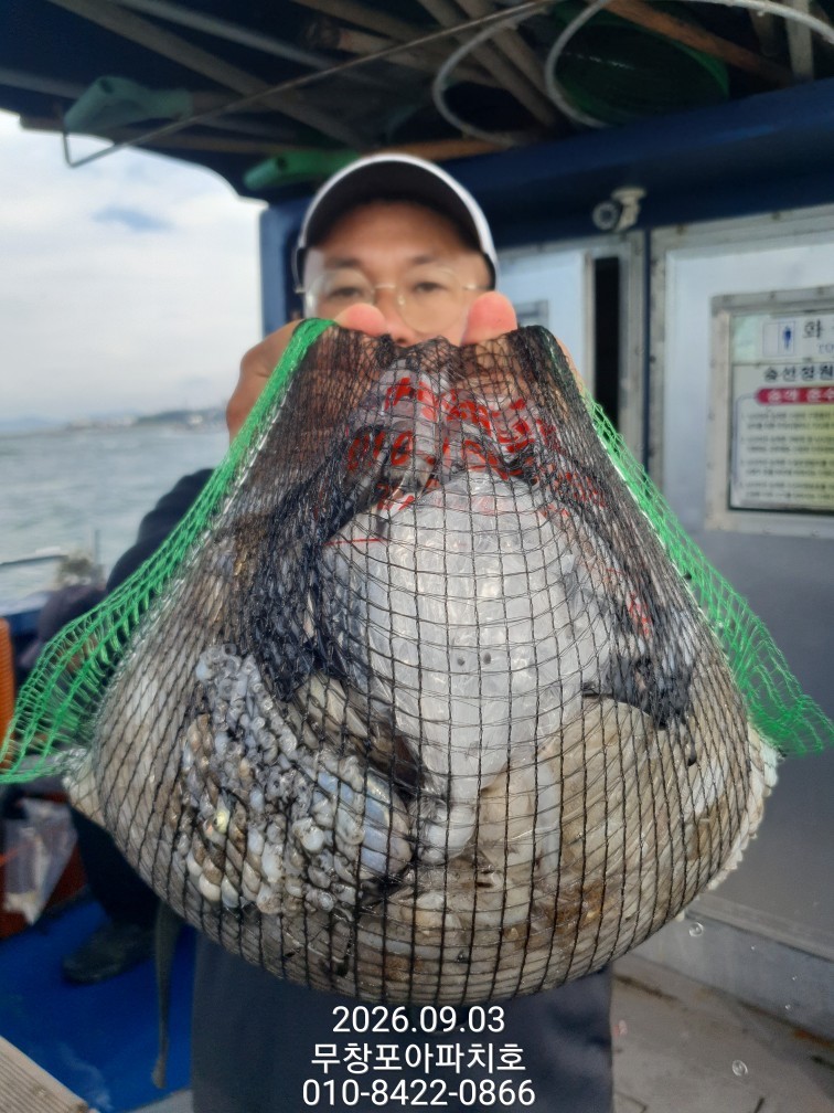 9월 3일 포항 주꾸미 선상낚시 조황 현장 사진 7