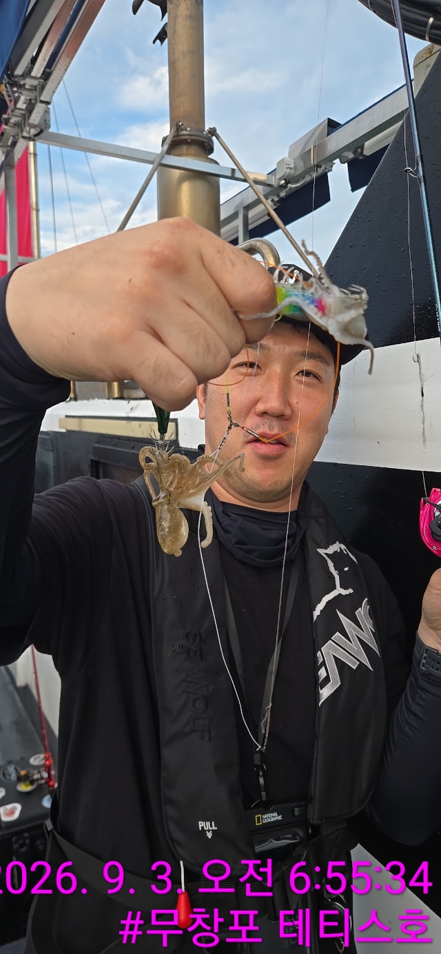 9월 3일 갑오징어 선상낚시 조황 현장 사진 8