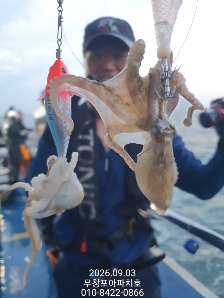 9월 3일 포항 주꾸미 선상낚시 조황 현장 사진 15