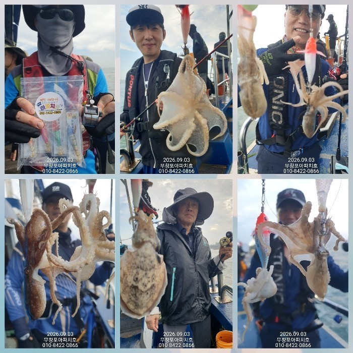 9월 3일 포항 주꾸미 선상낚시 조황 현장 사진 3