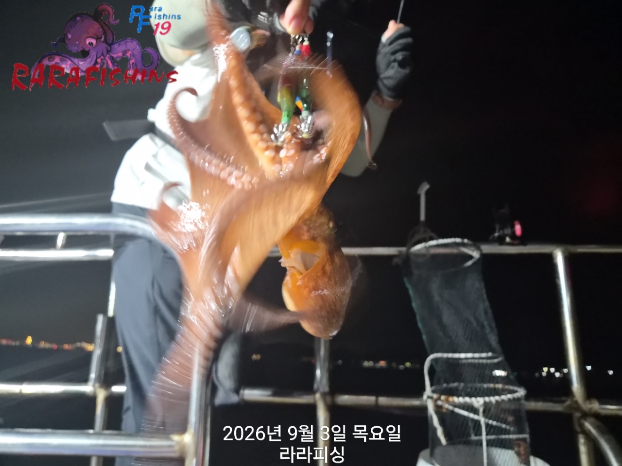 9월 3일 진해 문어 선상낚시 조황 현장 사진 5
