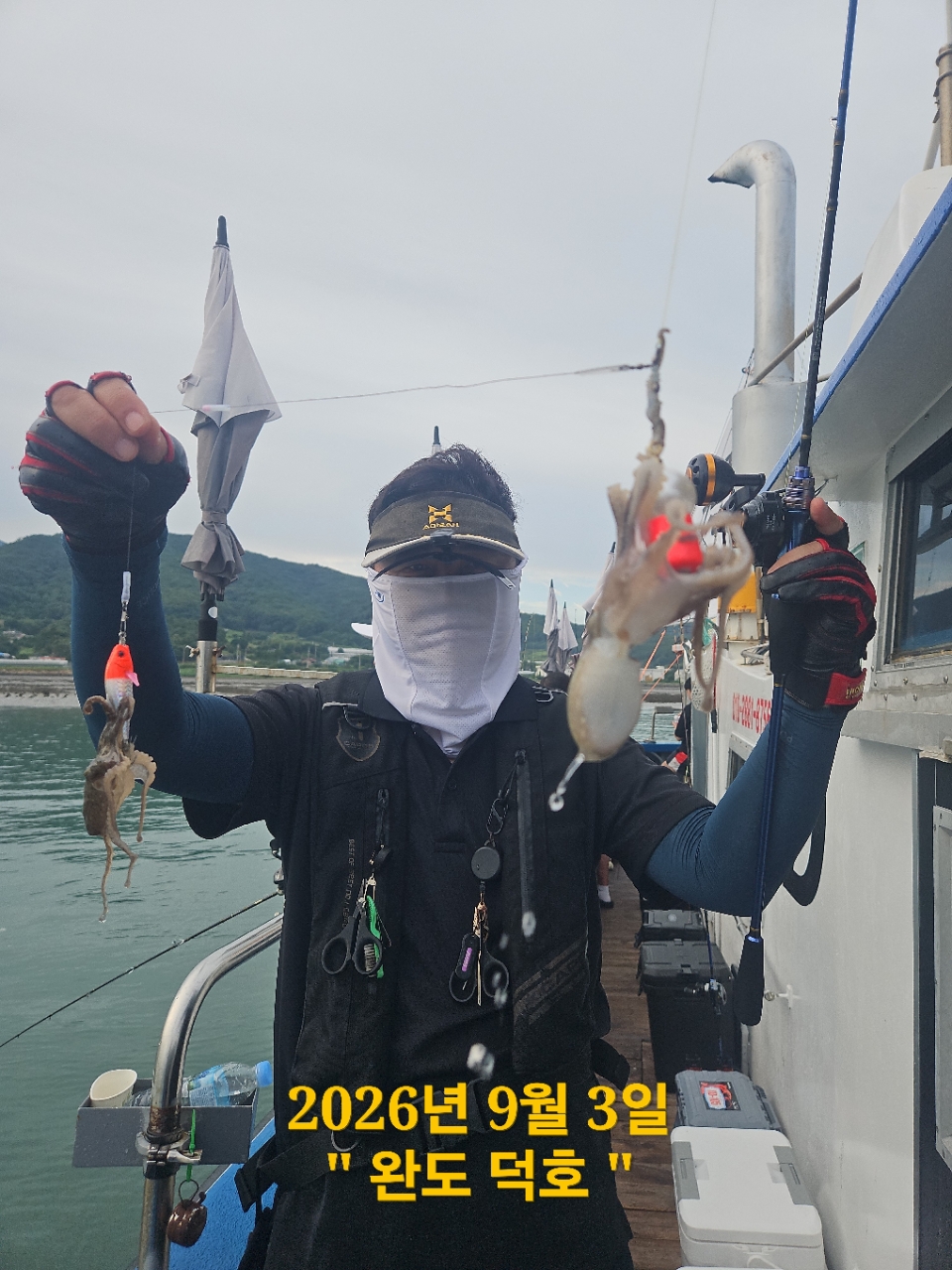 9월 3일 완도 주꾸미 선상낚시 조황 현장 사진 7