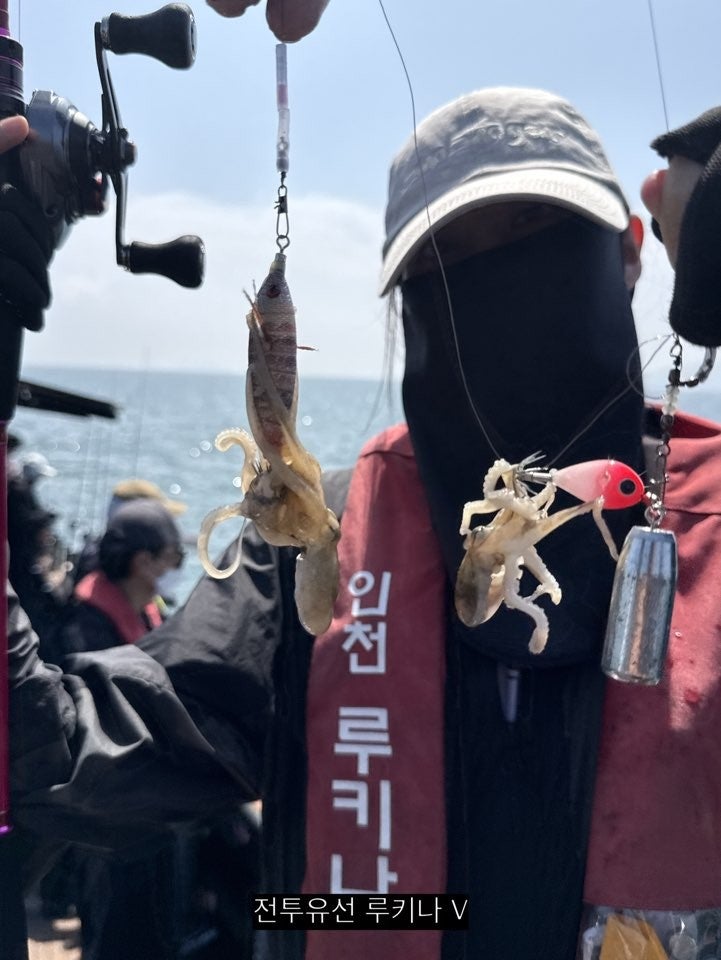 사용자가 올린 이미지