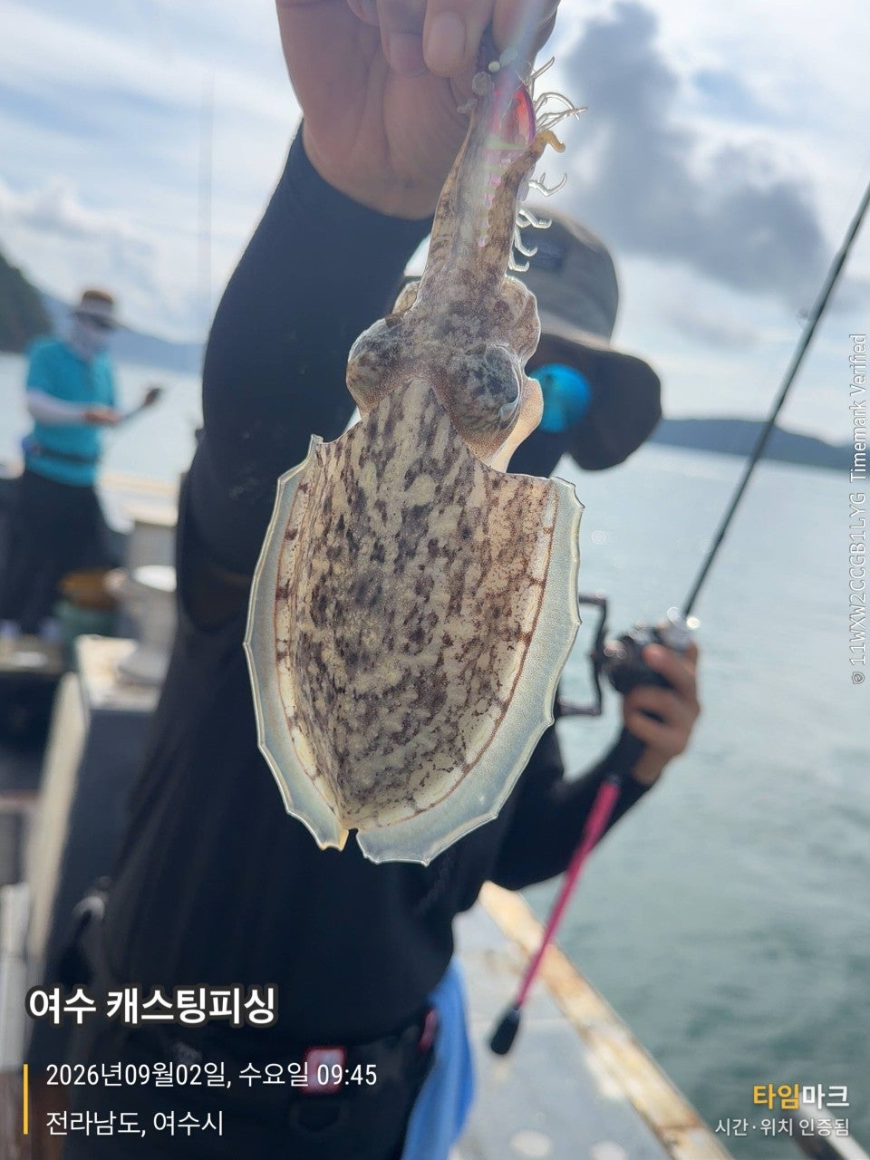사용자가 올린 이미지