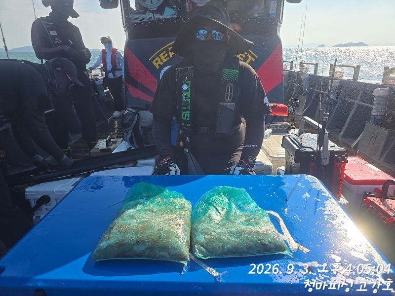 9월 3일 인천 갑오징어 선상낚시 조황 현장 사진 17