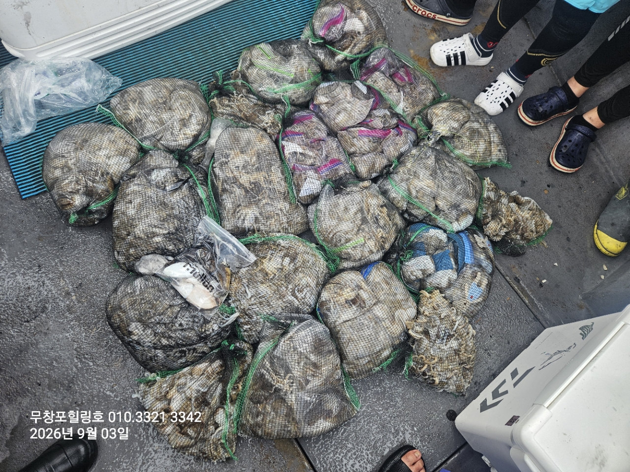 9월 3일 보령 주꾸미 선상낚시 조황 현장 사진 18