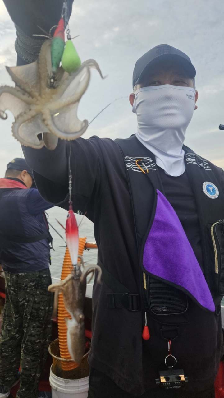 9월 3일 갑오징어 선상낚시 조황 현장 사진 4