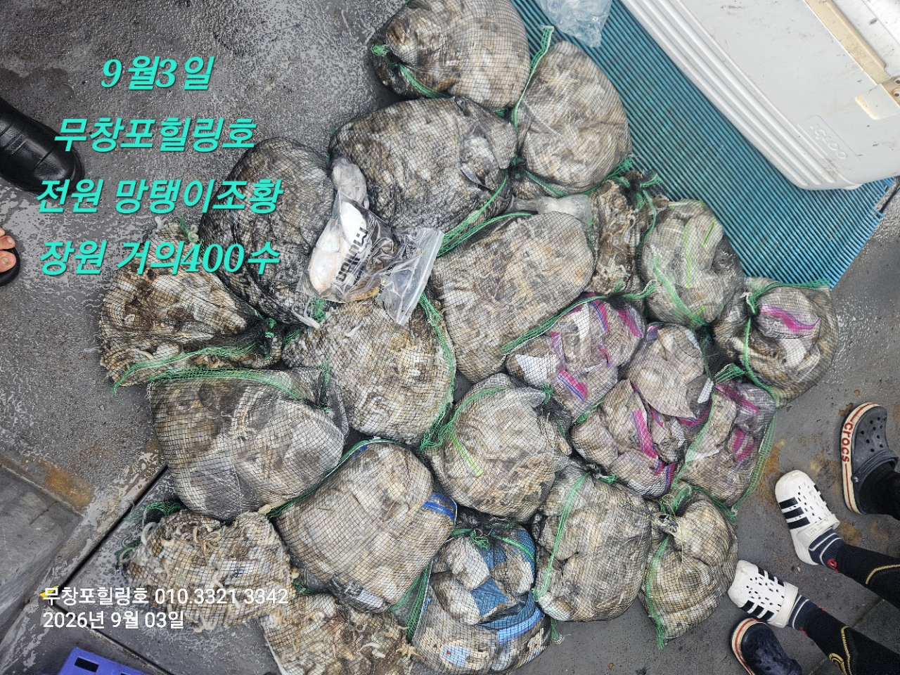 9월 3일 보령 주꾸미 선상낚시 조황 현장 사진 1