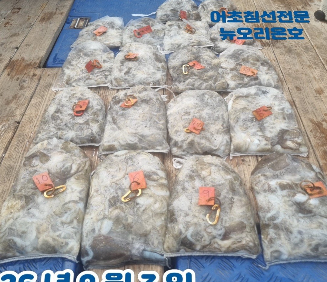 9월 3일 군산 주꾸미 선상낚시 조황 현장 사진 1