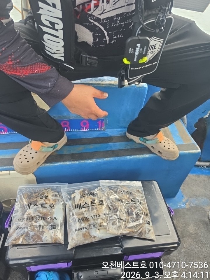 9월 3일 갑오징어 선상낚시 조황 현장 사진 8