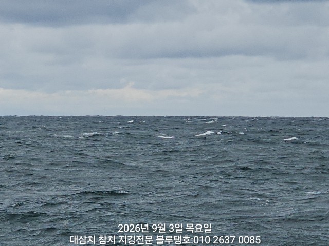 9월 3일 경주 선상낚시 조황 현장 사진 1