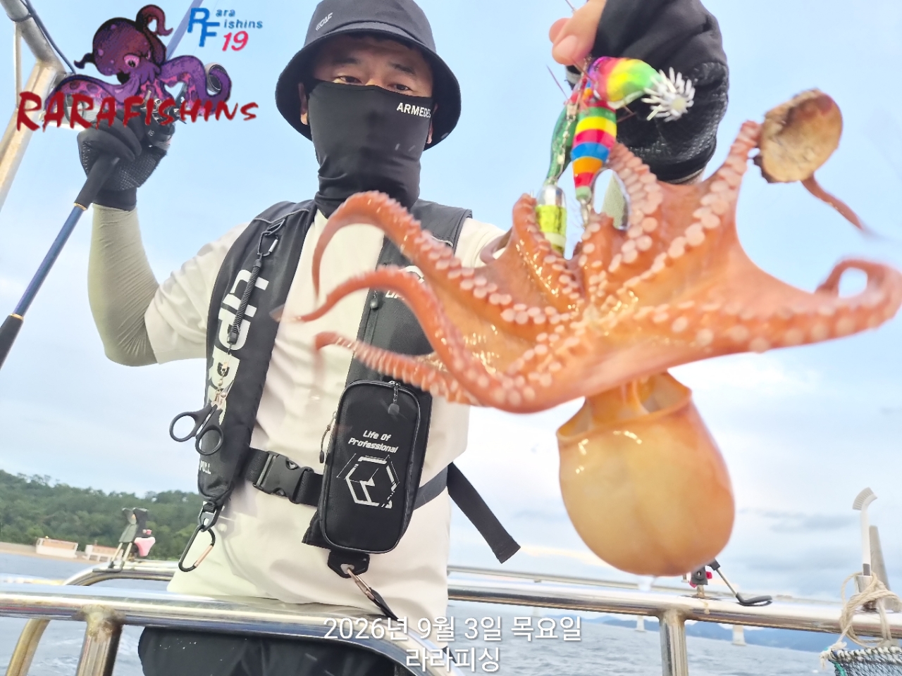 9월 3일 진해 문어 선상낚시 조황 현장 사진 7