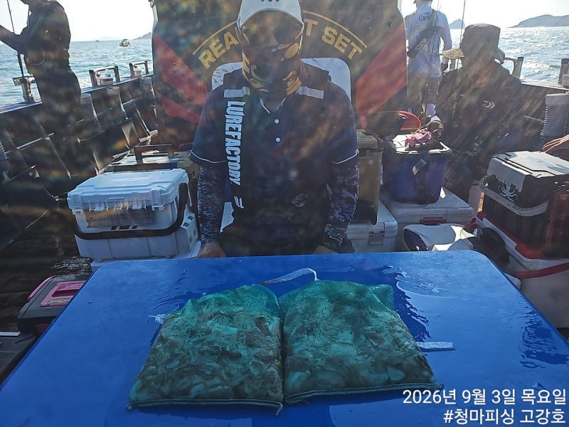 9월 3일 인천 갑오징어 선상낚시 조황 현장 사진 15