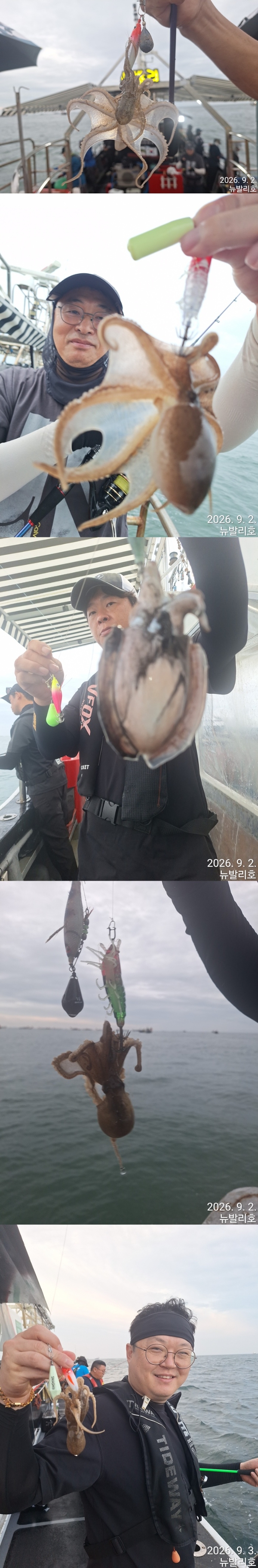 9월 3일 군산 주꾸미 선상낚시 조황 현장 사진 3