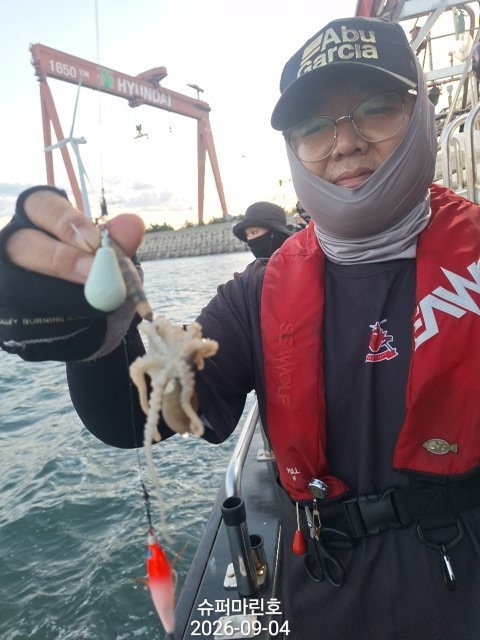 9월 4일 주꾸미 선상낚시 조황 현장 사진 12