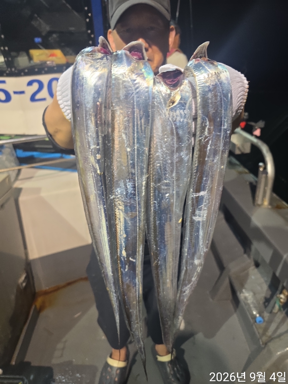 9월 3일 남해 무늬오징어 선상낚시 조황 현장 사진 7