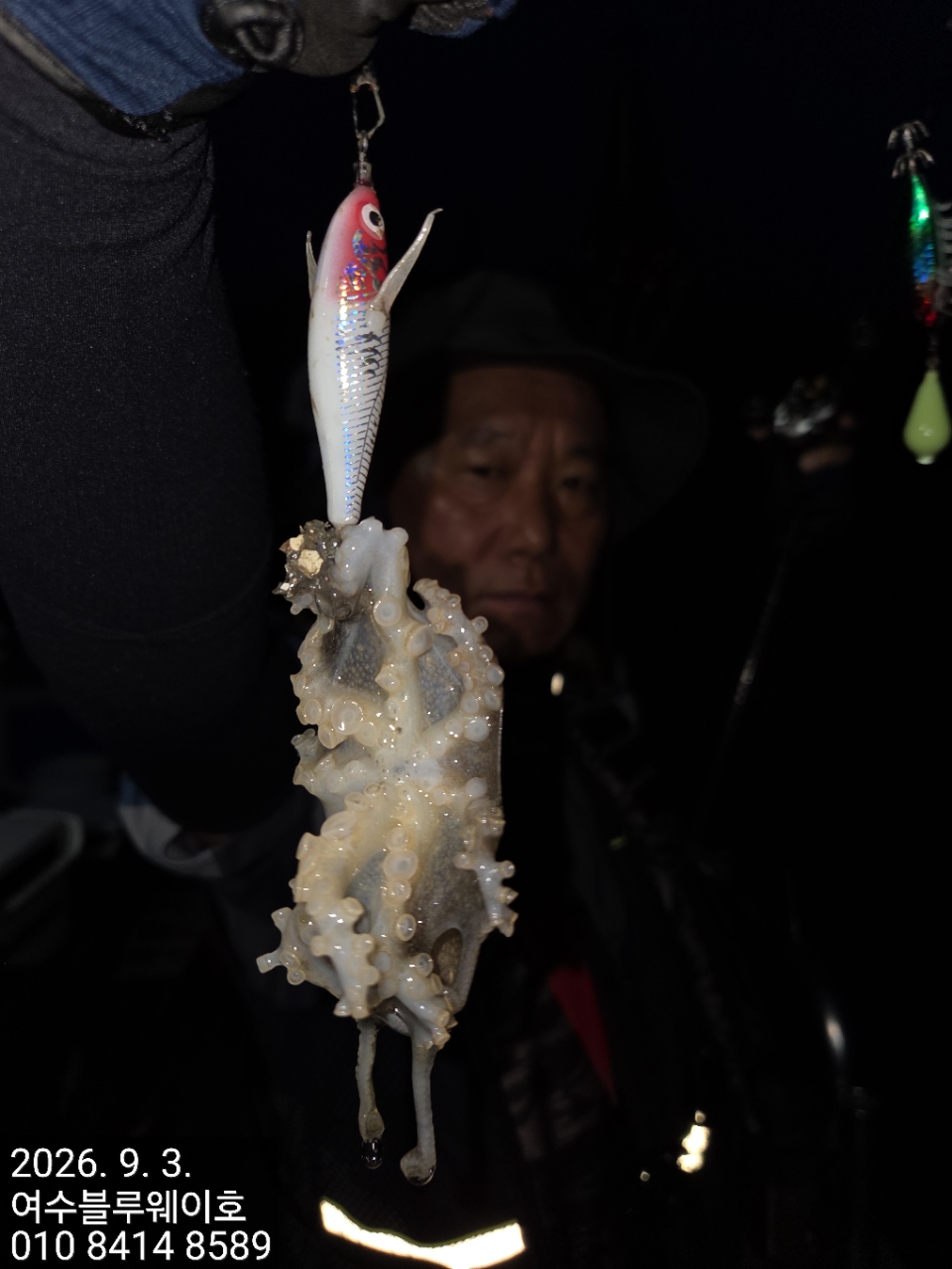 9월 3일 여수 갑오징어 선상낚시 조황 현장 사진 20