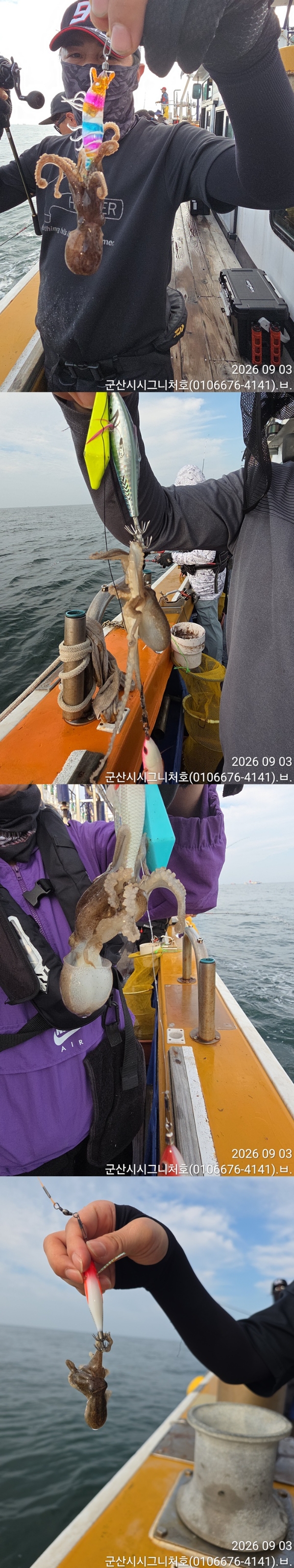 9월 4일 군산 주꾸미 선상낚시 조황 현장 사진 3
