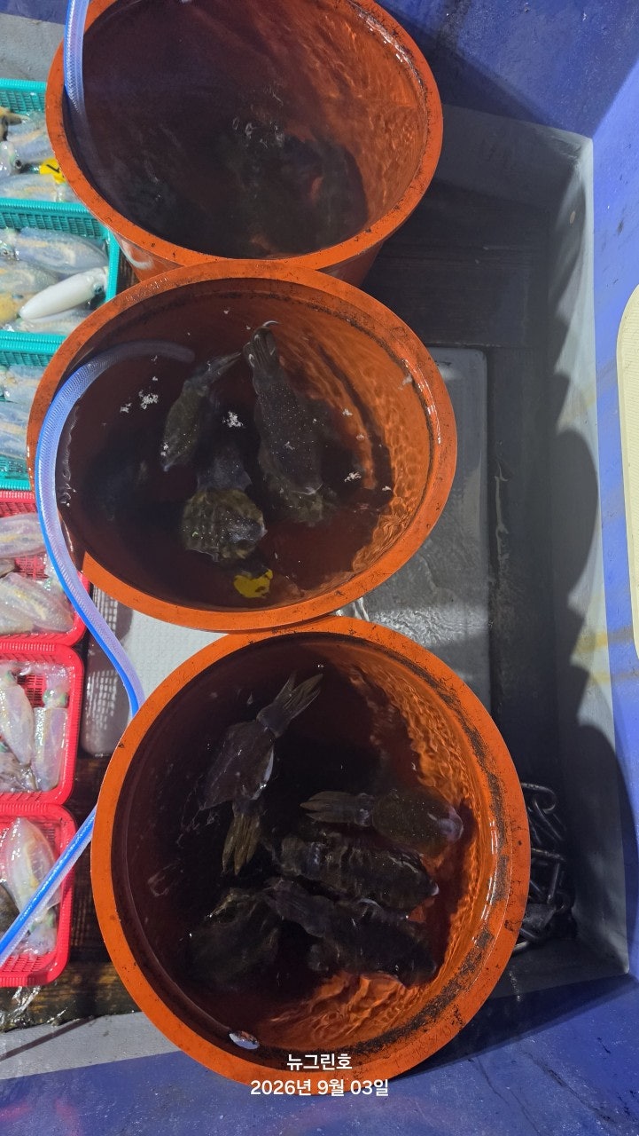 ����ڰ� �ø� �̹���