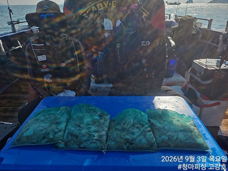 9월 3일 인천 갑오징어 선상낚시 조황 현장 사진 16