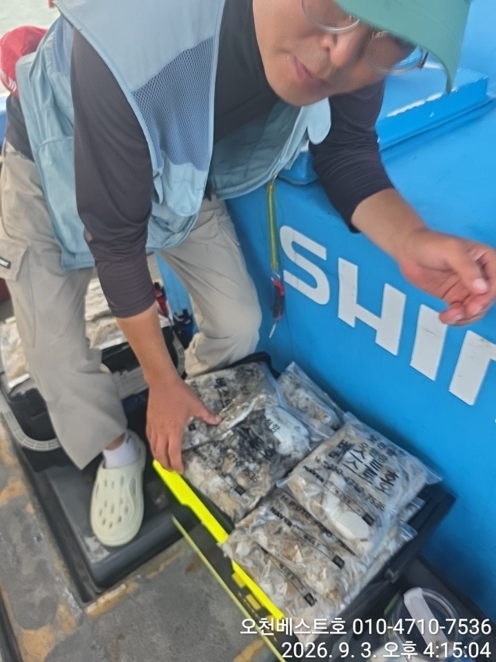 9월 3일 갑오징어 선상낚시 조황 현장 사진 2