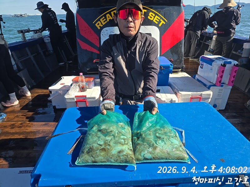 9월 4일 인천 갑오징어 선상낚시 조황 현장 사진 45