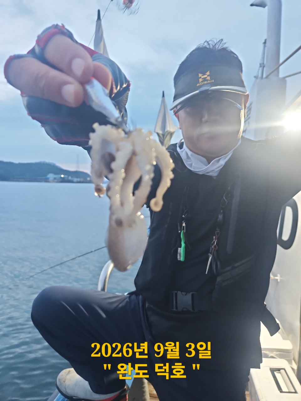 9월 8일 완도 주꾸미 선상낚시 조황 현장 사진 7