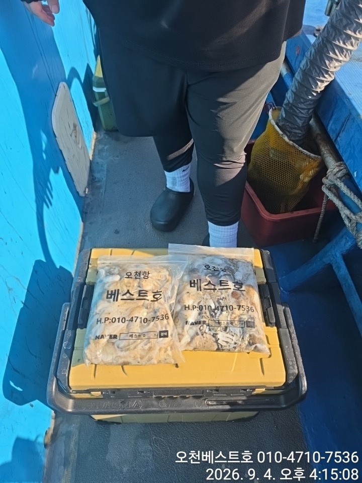 9월 4일 갑오징어 선상낚시 조황 현장 사진 8