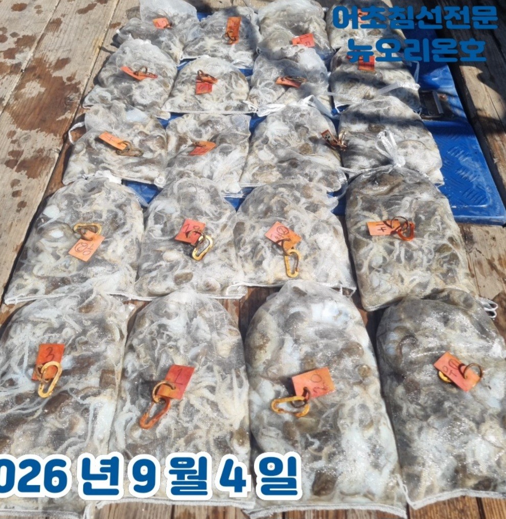 9월 4일 군산 주꾸미 선상낚시 조황 현장 사진 1