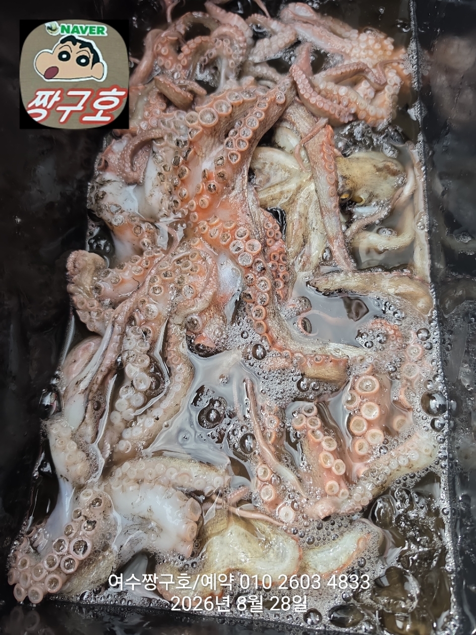 9월 7일 여수 문어 선상낚시 조황 현장 사진 15